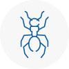 Ant Removals In Hebburn