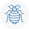Bed Bug Extermination In Hebburn