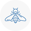 Bee Nest Removal Hebburn