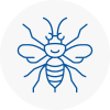 Hebburn Hornet Nest Removals