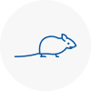 Mice Exterminators In Hebburn