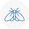 Moth Control Specialists In Hebburn