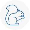 Hebburn Rodent Removals